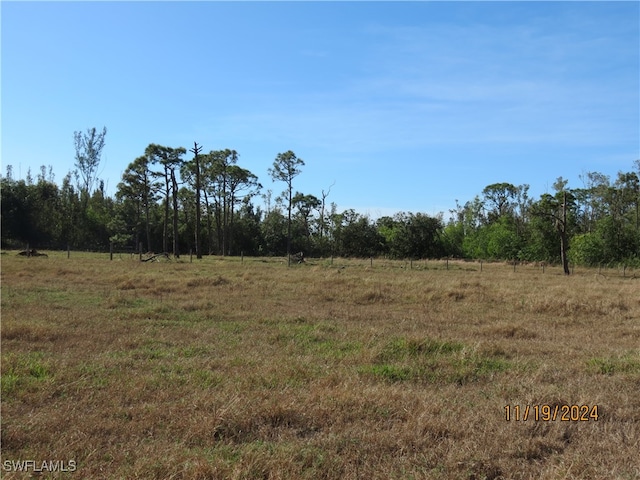 view of local wilderness featuring a rural view