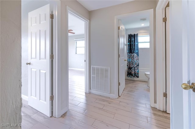 hall featuring plenty of natural light and light hardwood / wood-style flooring