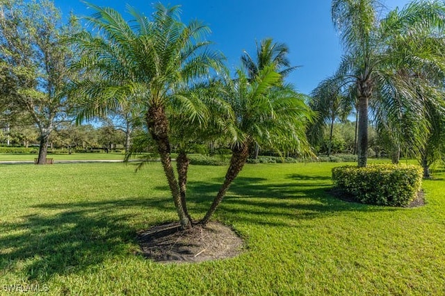 surrounding community featuring a lawn