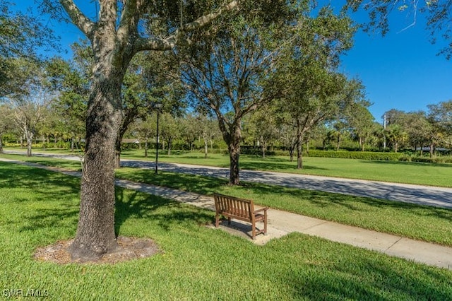 view of community with a yard