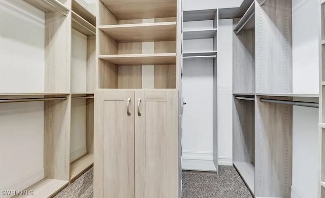 walk in closet with carpet