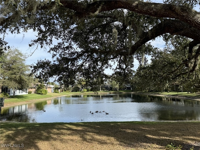 property view of water