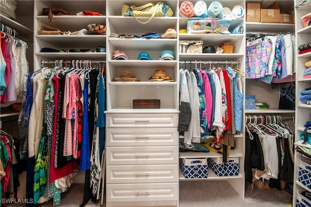 walk in closet featuring carpet floors