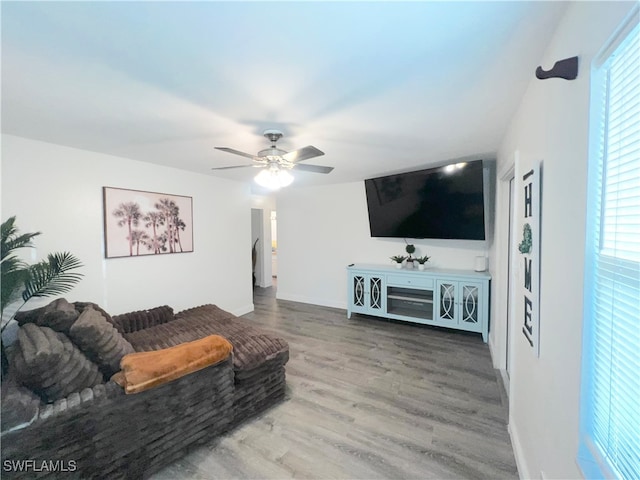 living room with ceiling fan and hardwood / wood-style floors