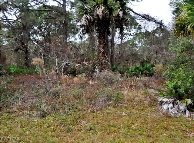 Kravitz St, North Port FL, 34291 land for sale