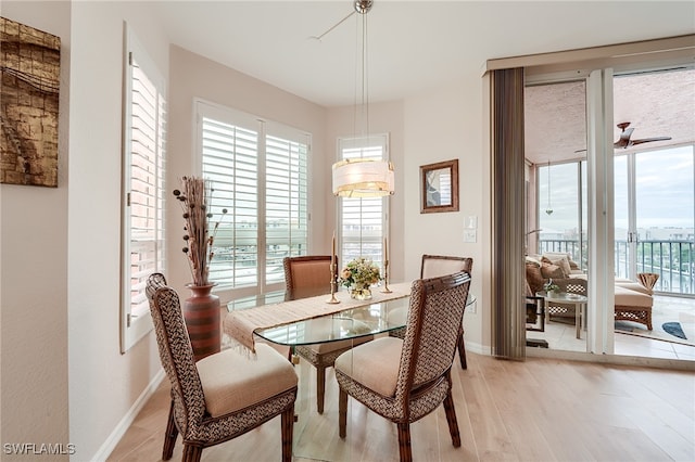 dining room featuring light hardwood / wood-style floors and ceiling fan