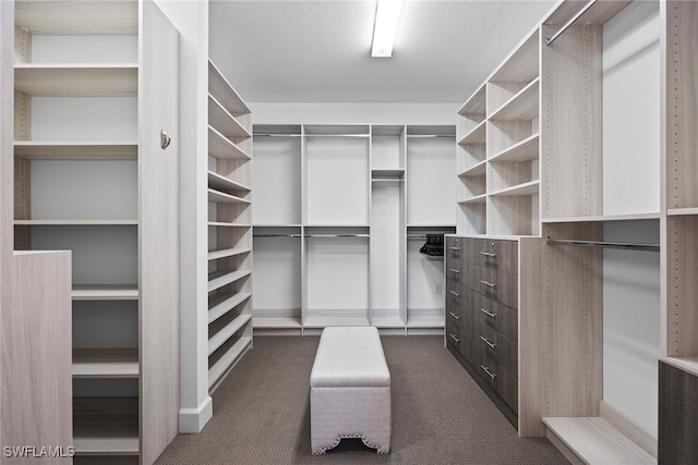 spacious closet featuring dark colored carpet