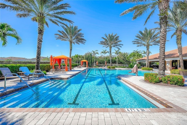 view of pool with a patio area