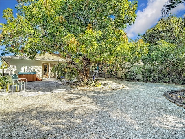 view of yard with a hot tub