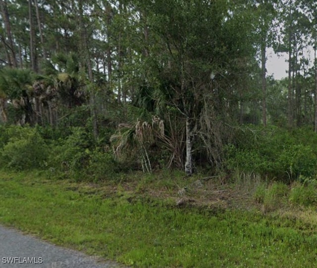 12073 Gahan Ave, Port Charlotte FL, 33953 land for sale