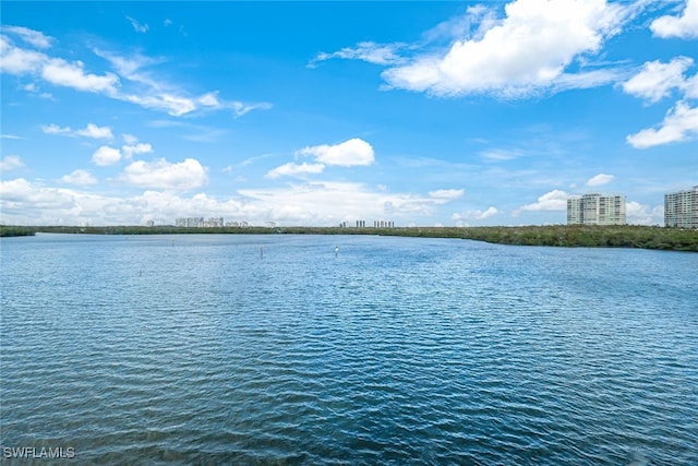 property view of water