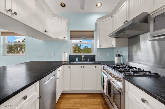 kitchen with white cabinets, ventilation hood, stainless steel appliances, and plenty of natural light