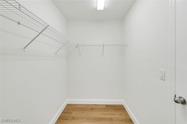 walk in closet with hardwood / wood-style floors