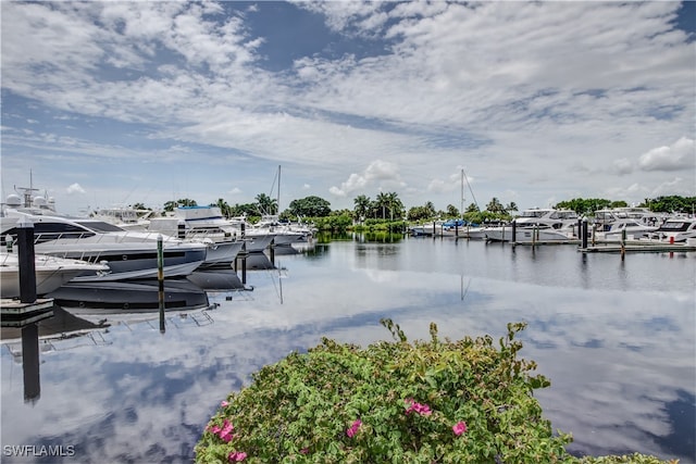 dock area with a water view