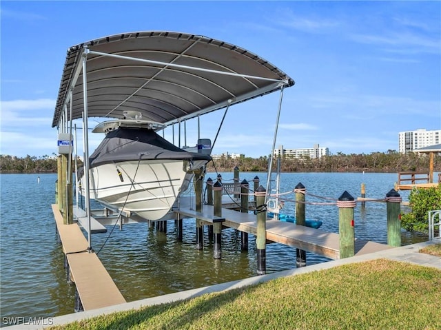 dock area with a water view