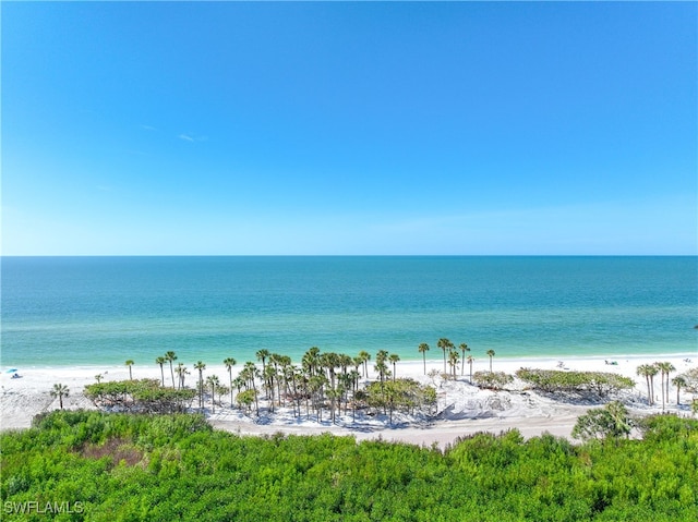 water view featuring a beach view