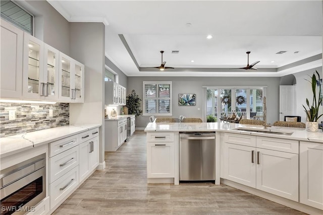 kitchen with white cabinetry, appliances with stainless steel finishes, ceiling fan, and a tray ceiling