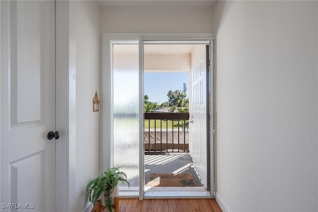 entryway featuring light hardwood / wood-style floors