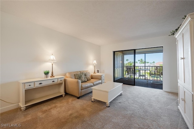 carpeted living room with a textured ceiling