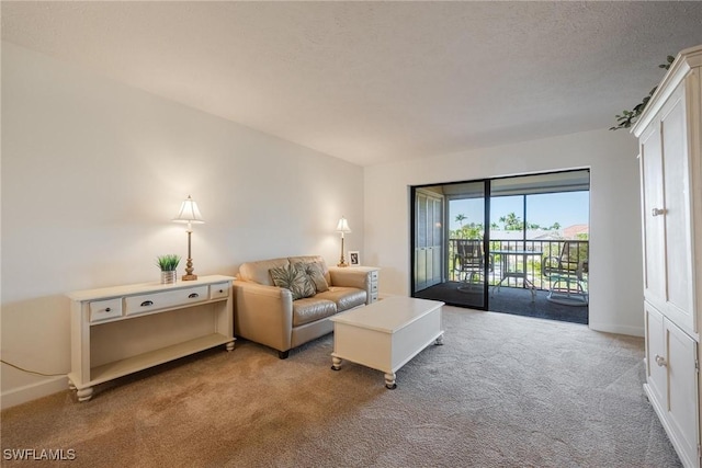 4914 Tudor Dr Unit 203, Cape Coral, FL 33904 - living room with carpet and baseboards