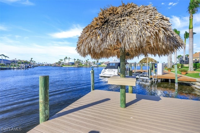 dock area with a water view