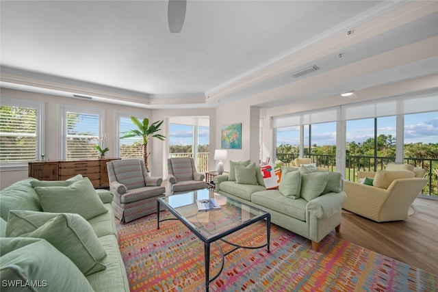 living room with hardwood / wood-style flooring and a wealth of natural light