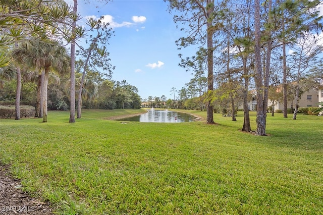 view of yard featuring a water view