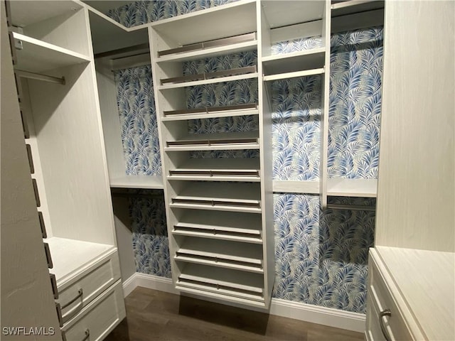 walk in closet with dark wood finished floors