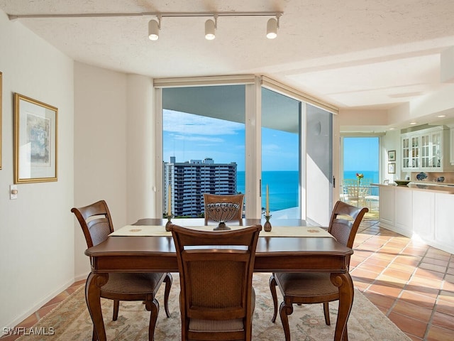 dining space with a healthy amount of sunlight, a water view, rail lighting, and light tile patterned flooring