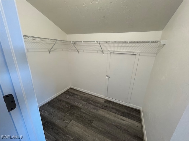 spacious closet featuring lofted ceiling and dark wood-type flooring