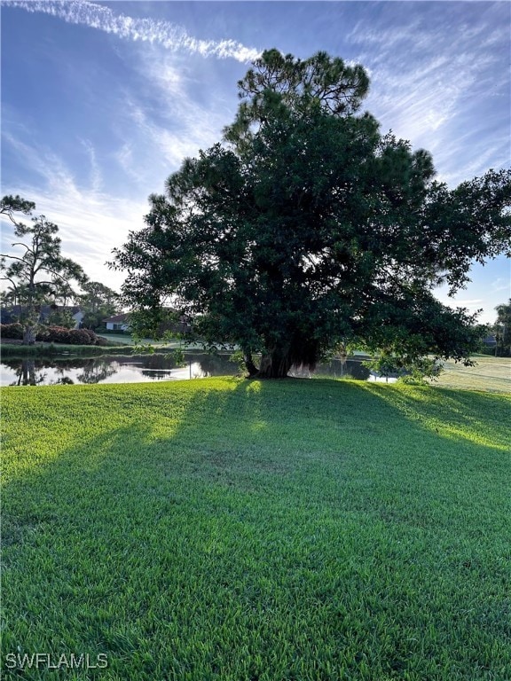 view of yard featuring a water view