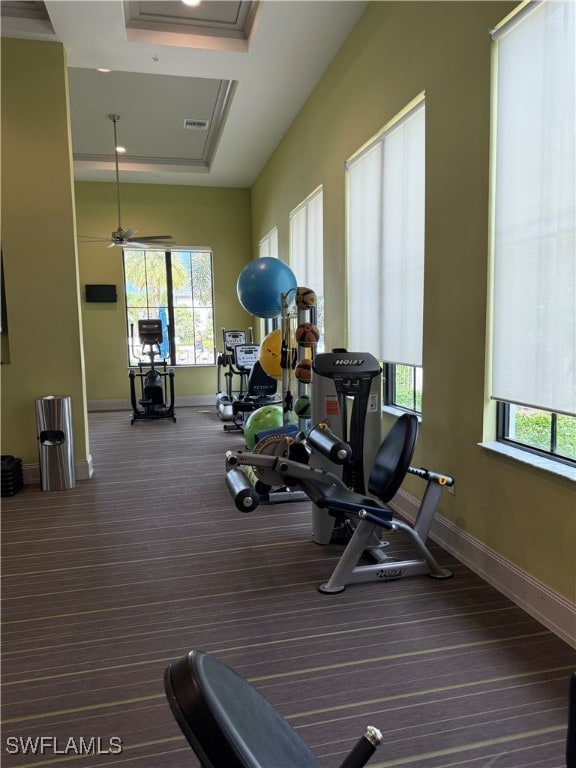 workout area featuring a tray ceiling, ceiling fan, and carpet