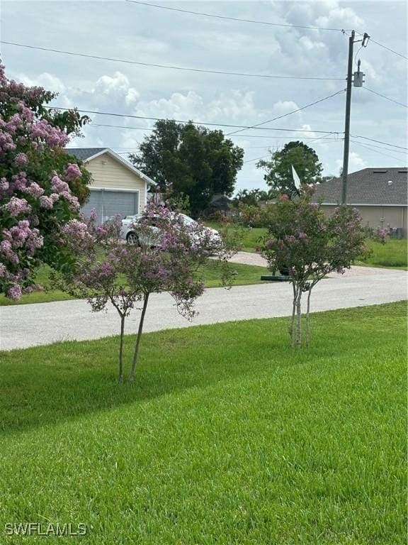 view of yard