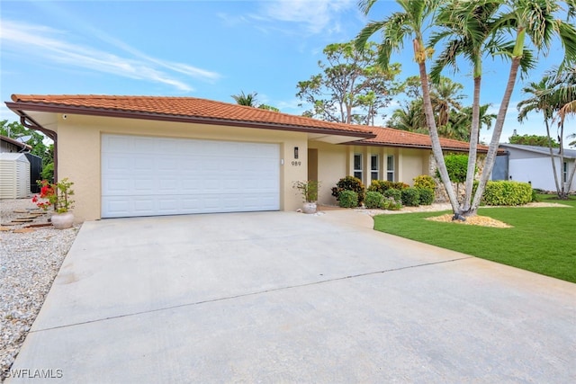 ranch-style house featuring a front lawn