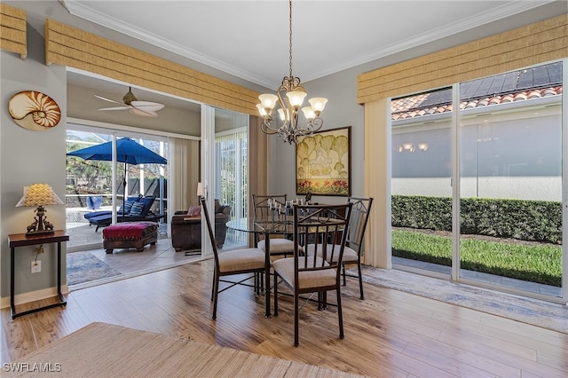 dining space with ceiling fan with notable chandelier, light wood-type flooring, and ornamental molding