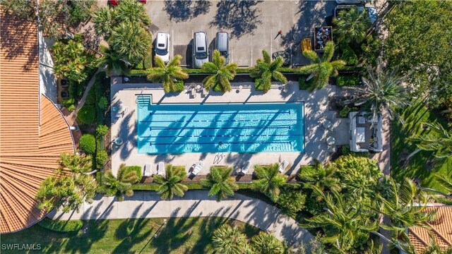 5051 Jarvis Ln, Naples, FL 34119 - drone / aerial view of a pool area