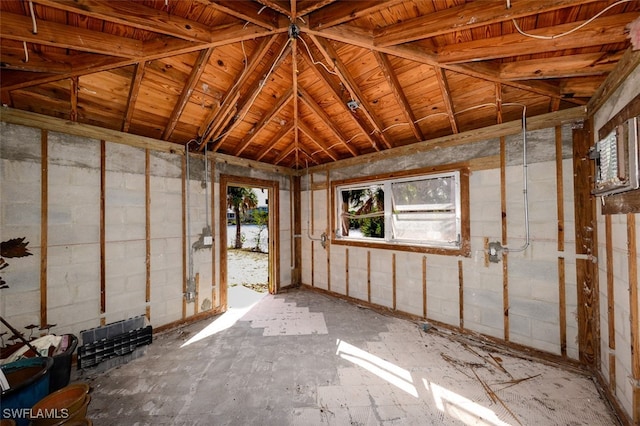 miscellaneous room with vaulted ceiling