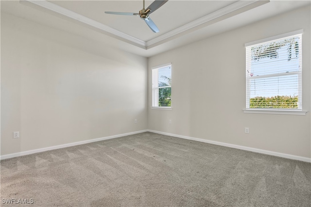 spare room featuring ceiling fan, carpet, ornamental molding, and a raised ceiling