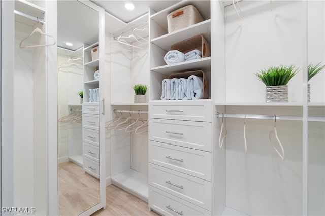 walk in closet featuring light hardwood / wood-style floors