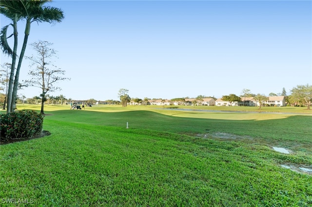 view of community with a yard