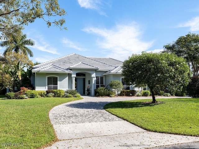 ranch-style home featuring a front lawn