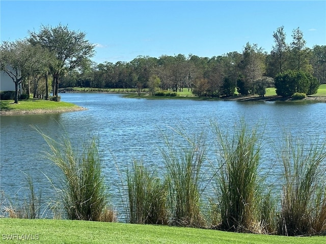 property view of water