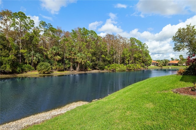 property view of water