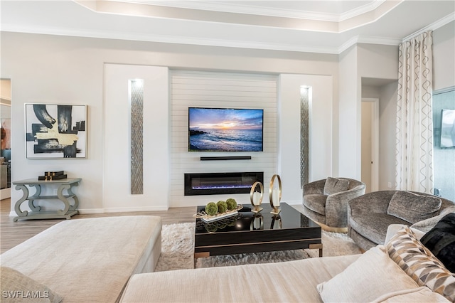 living room with hardwood / wood-style flooring, a large fireplace, a raised ceiling, and ornamental molding