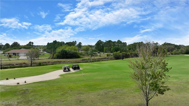 view of property's community featuring a yard