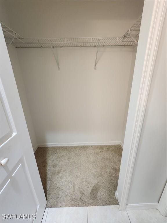 spacious closet with light carpet