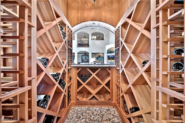 wine cellar featuring wooden walls