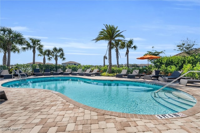 view of swimming pool with a patio area