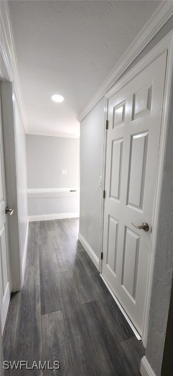 hallway featuring dark hardwood / wood-style flooring and ornamental molding