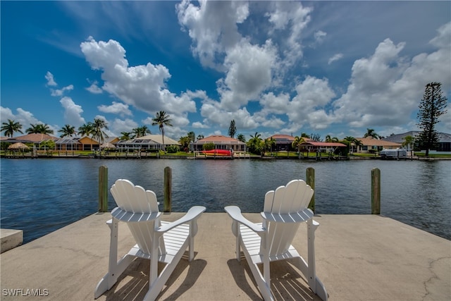 dock area with a water view